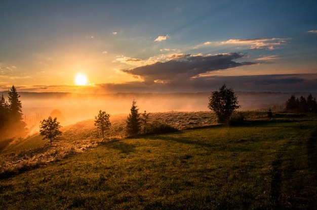 Самые странные фобии, в которые трудно поверить