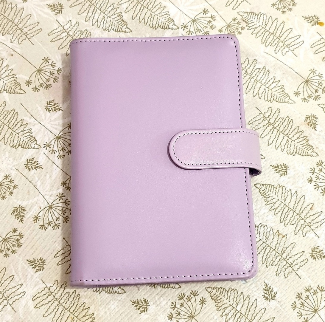 Недавно я приобрела органайзер для денег, известный как байднер. Он оказался весьма полезным, так как существенно помог накопить денег