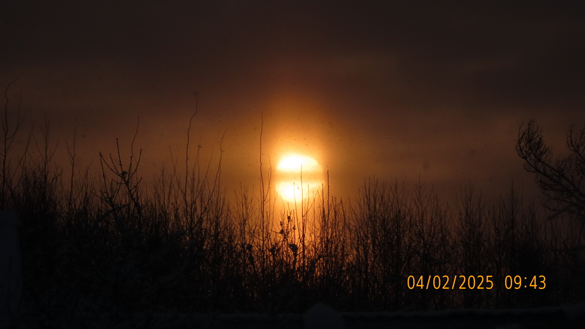 Книжки с полки/ Грегори Макдональд «Отчаянный»/ Часть вторая. «Сослагательное наклонение»/