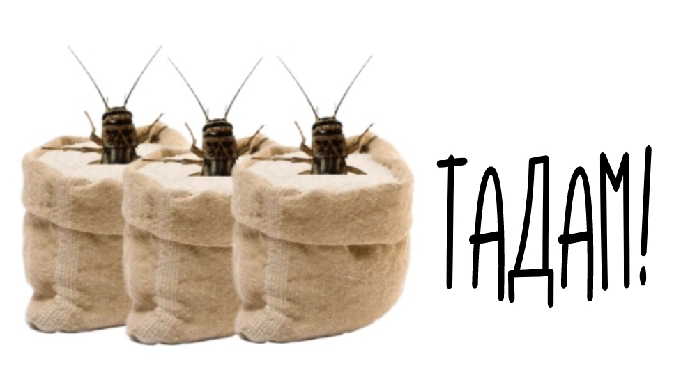 Тайные ингредиенты на полках - как защитить потребителей от скрытых добавок