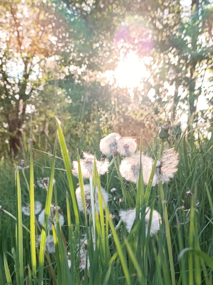 "Dicitencello vuie" / «Эту песню не задушишь, не убьешь».