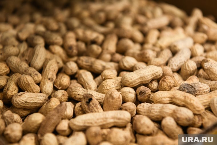 Польза и вред орехов