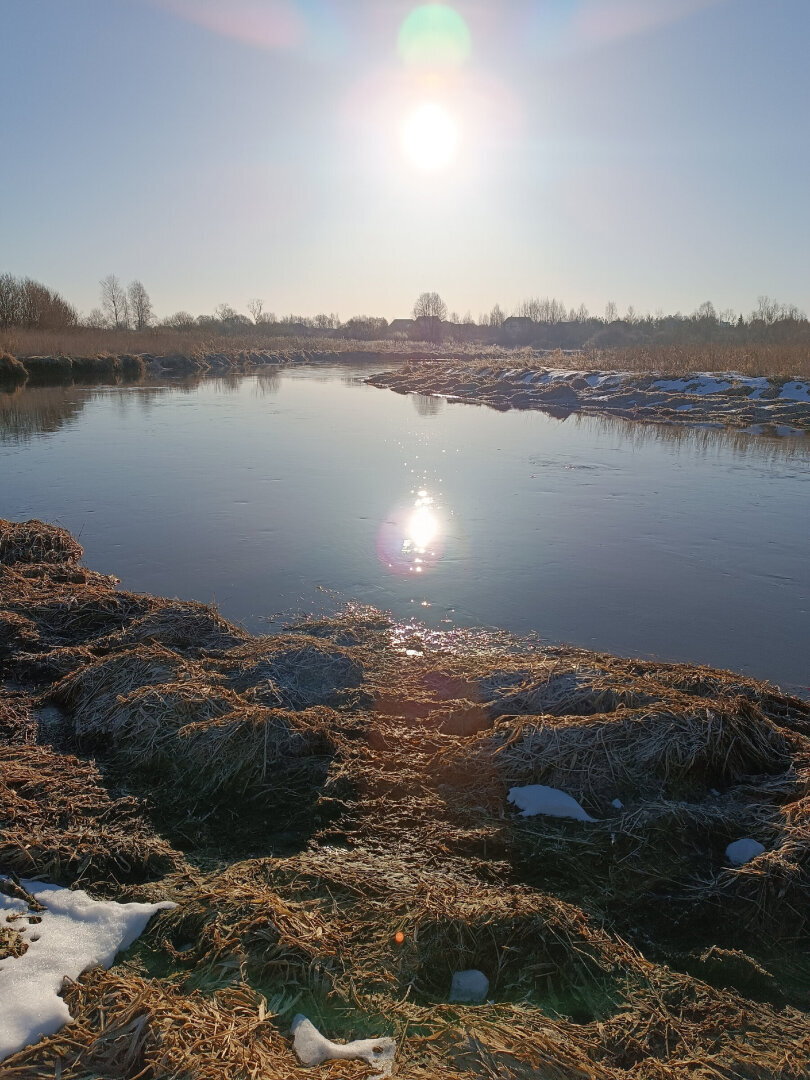 "Dicitencello vuie" / «Эту песню не задушишь, не убьешь».