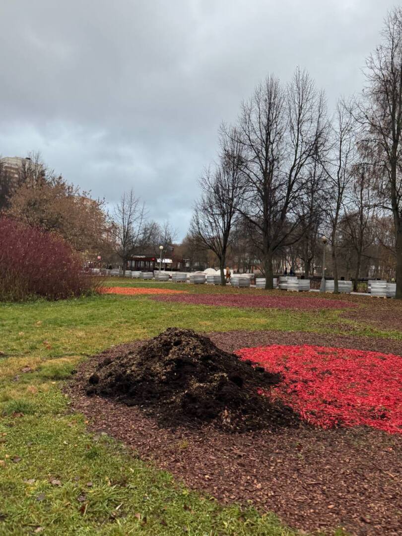 Леса в Москве