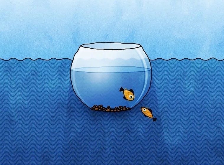 За гранью привычного: Как выйти из зоны комфорта и обрести новые горизонты!