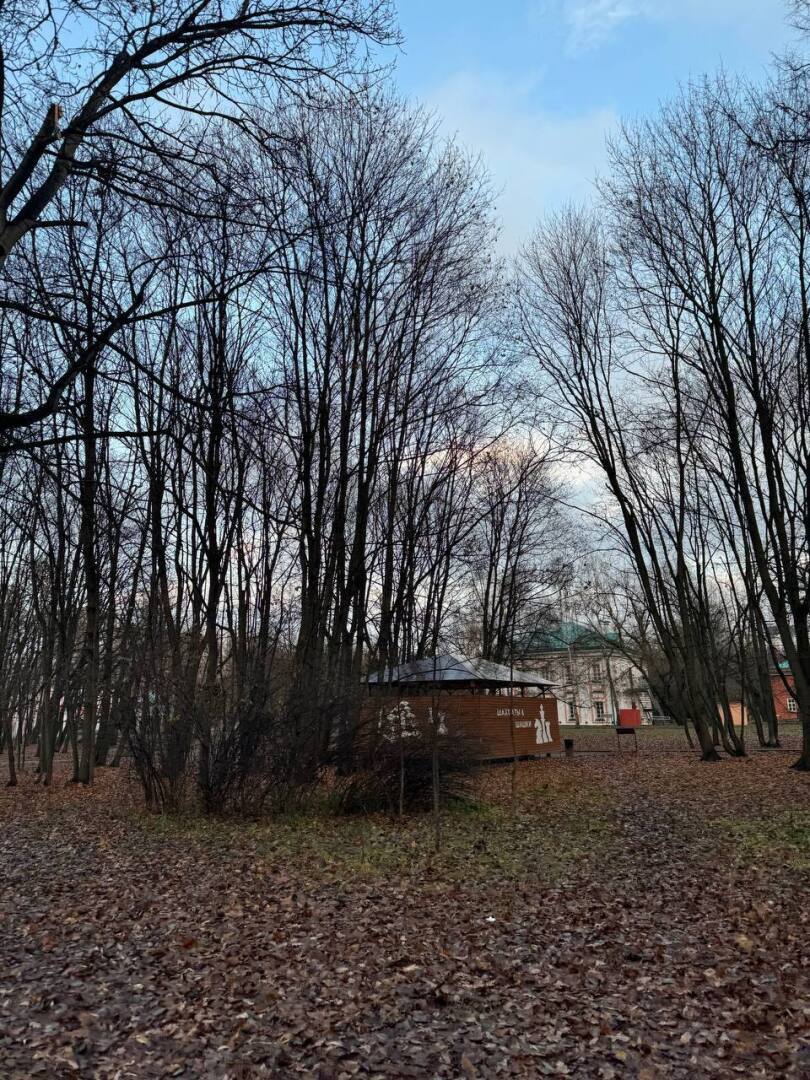 Леса в Москве