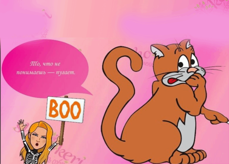 Как жить, если не верить в сказки? И Почему ваша сказка - ваш выбор?