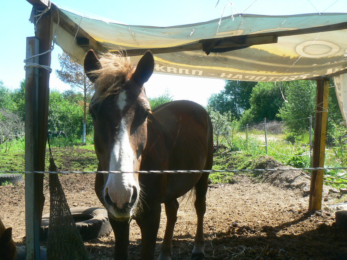 Отпуск / В память о друге/