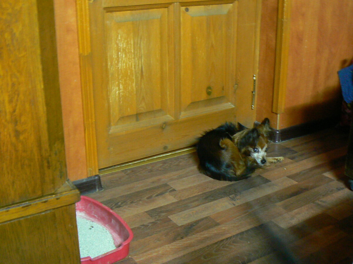 Отпуск / В память о друге/