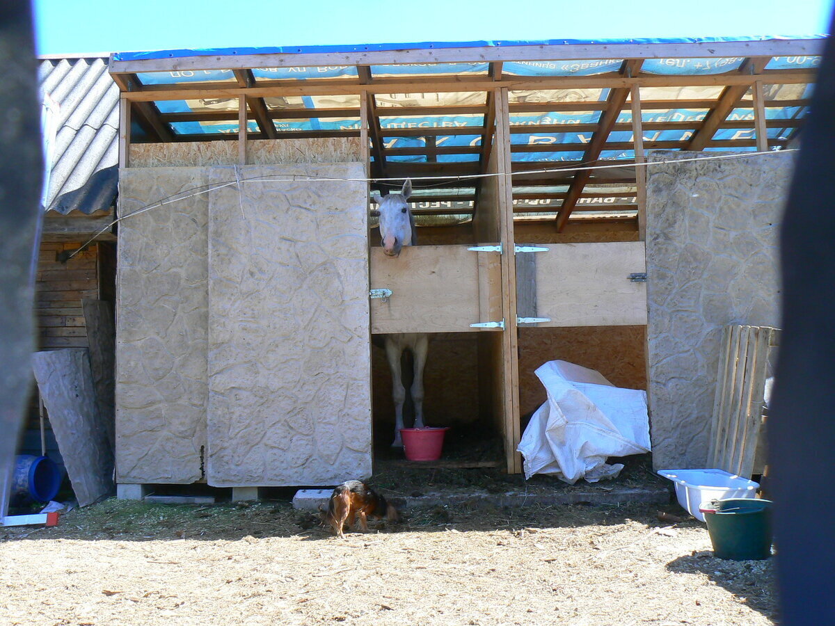 Отпуск / В память о друге/