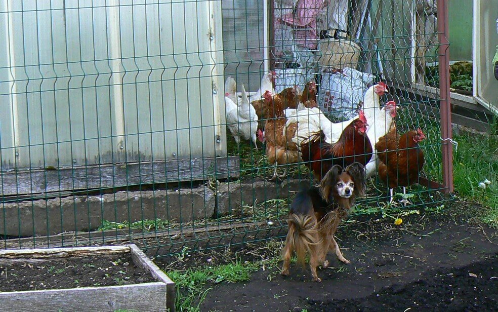 Отпуск / В память о друге/