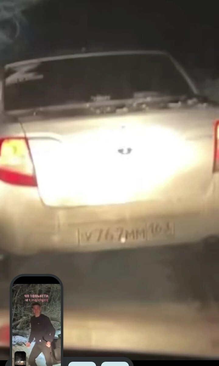 Тольяттинские несовершеннолетние живодеры жестоко убили лису