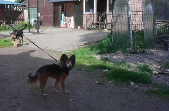 Отпуск / В память о друге/