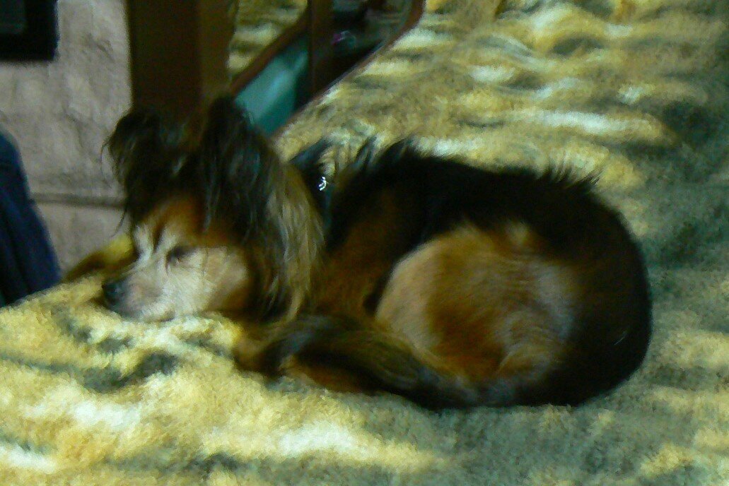 Отпуск / В память о друге/