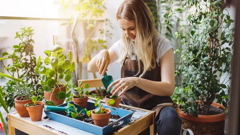 Лунный календарь на февраль 2025 года: посевной календарь для садоводов