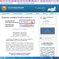 Проверка ГИБДД.jpg