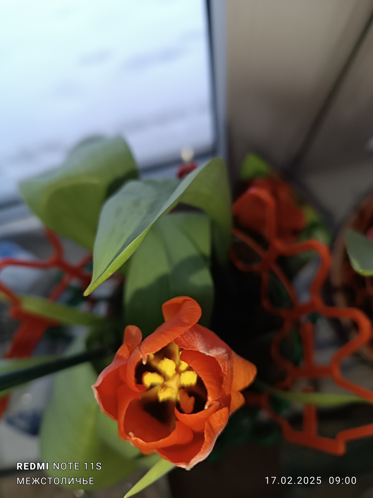 От Грегори Макдональда («Отчаянный») к Стивену Кингу и дальше. / Договора и массовка./ Часть вторая / Заблуждения в розовых очках.