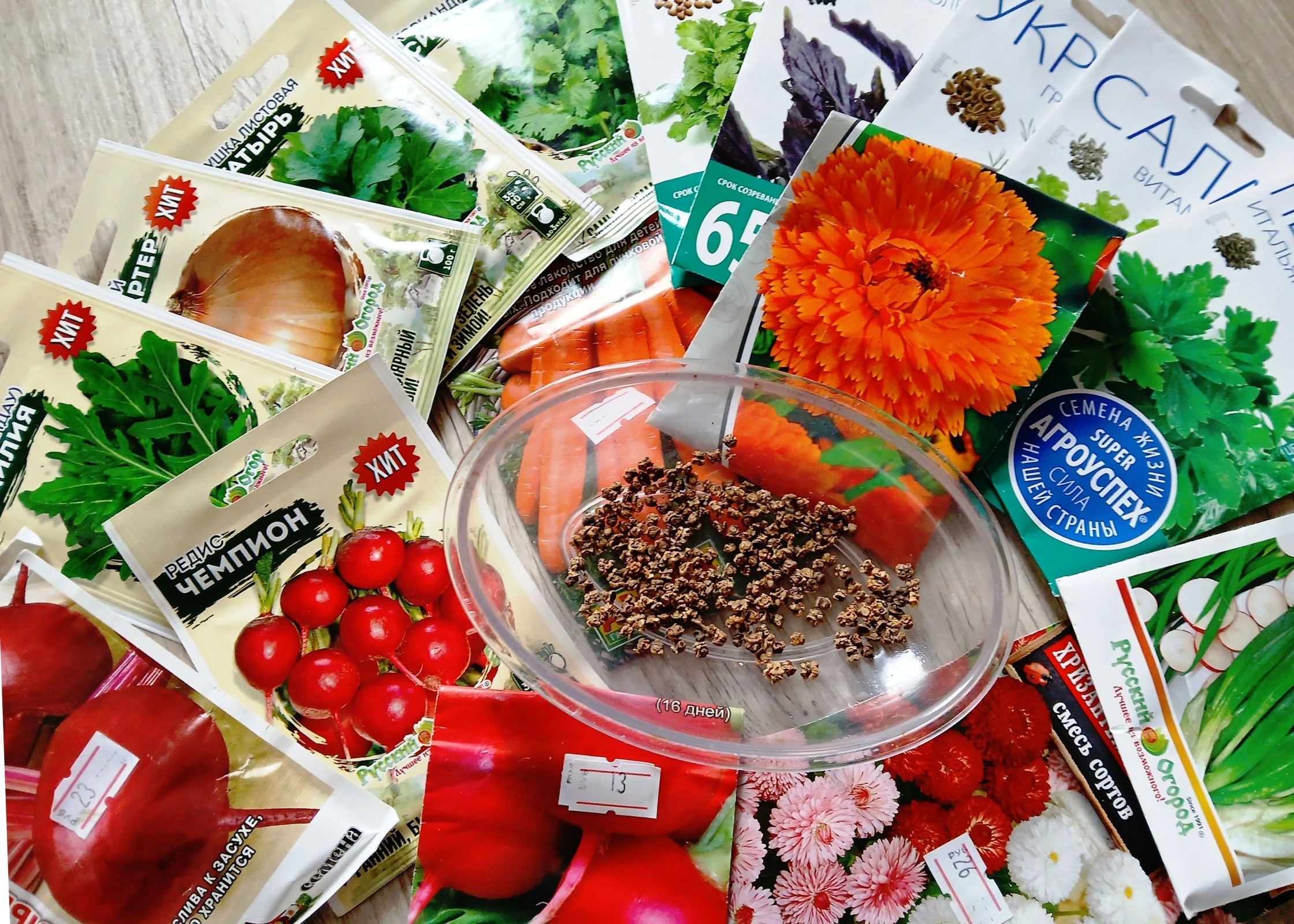 Не взошли совсем. Как бороться с семенным беспределом и кому жаловаться на плохую всхожесть семян