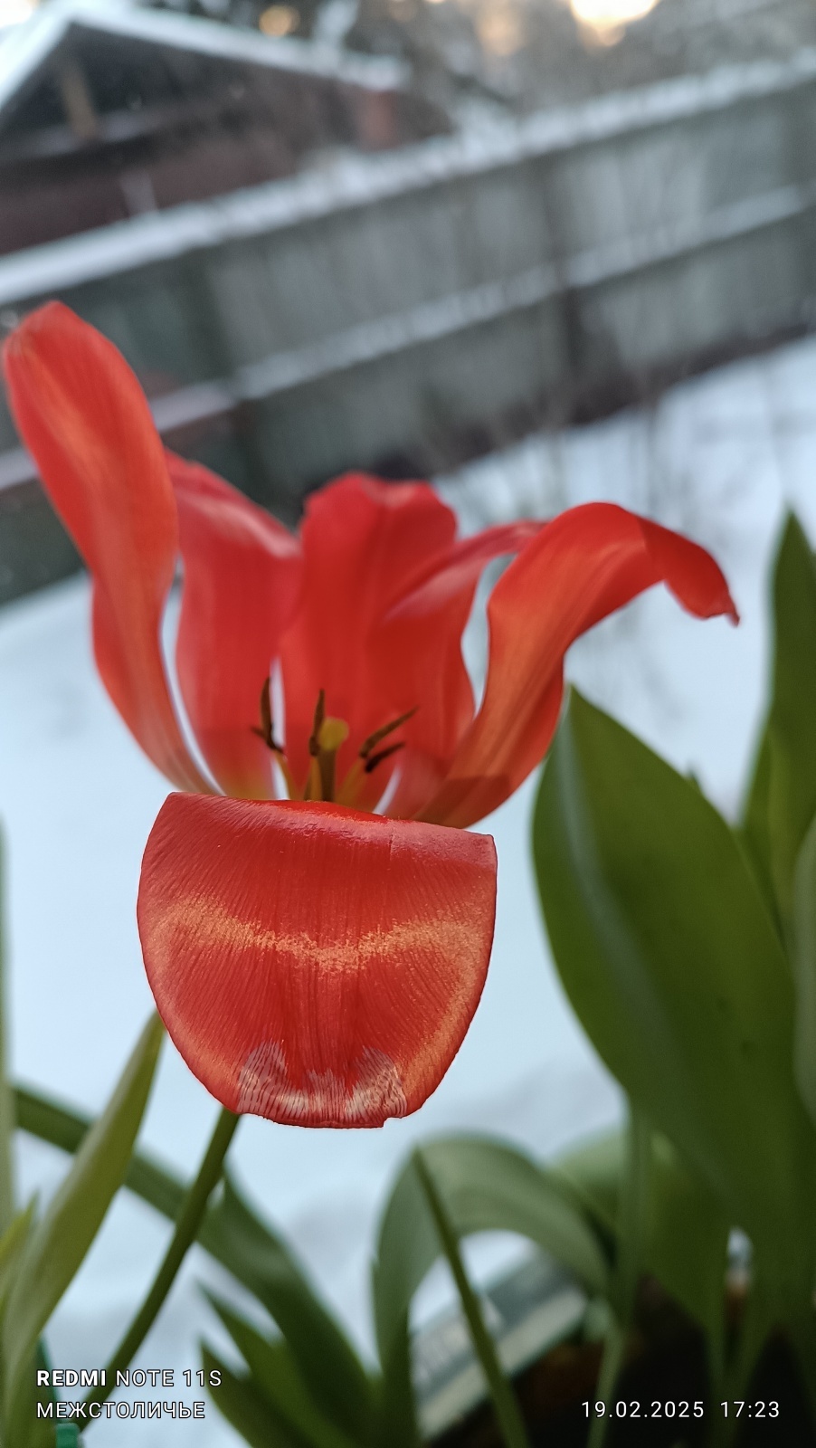 От Грегори Макдональда («Отчаянный») к Стивену Кингу и дальше. / Договора и массовка./ Часть третья / «Переодень носки, Карлсончик!»