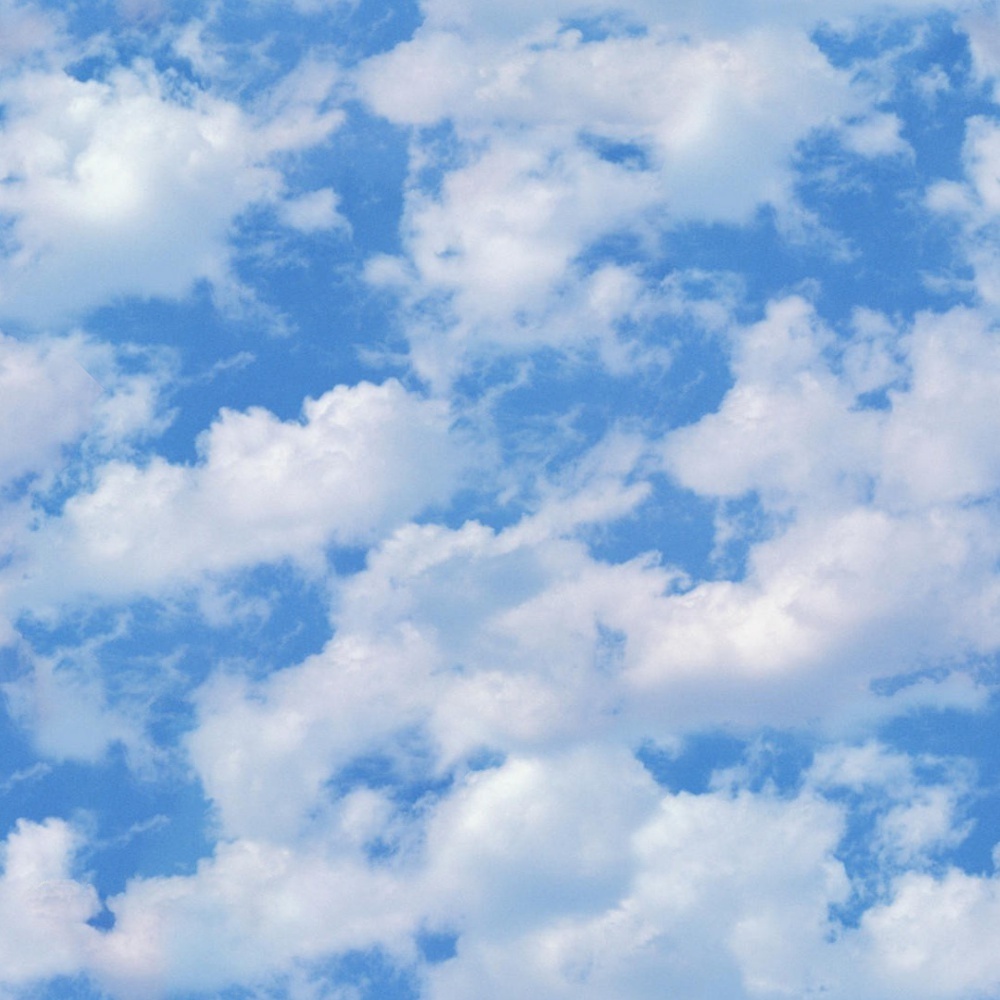 Подписание петиций, что нужно знать?