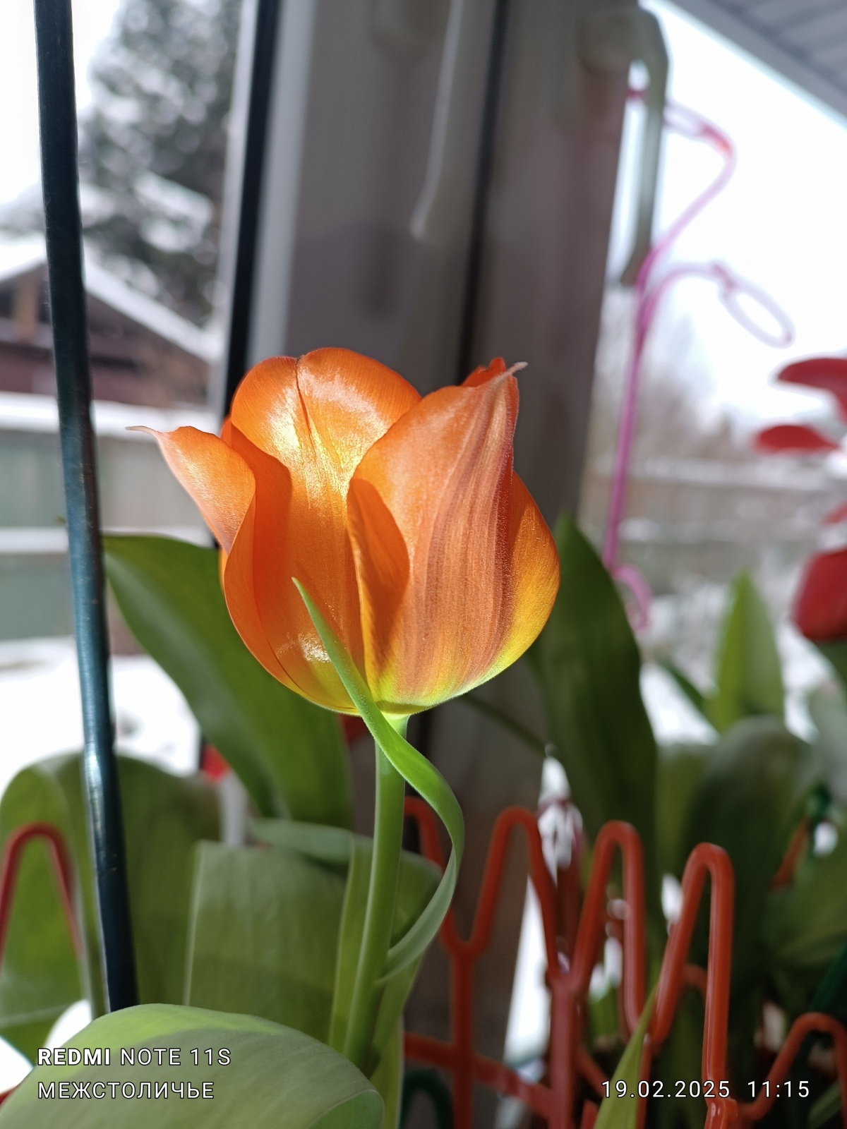 Ленинский зачет