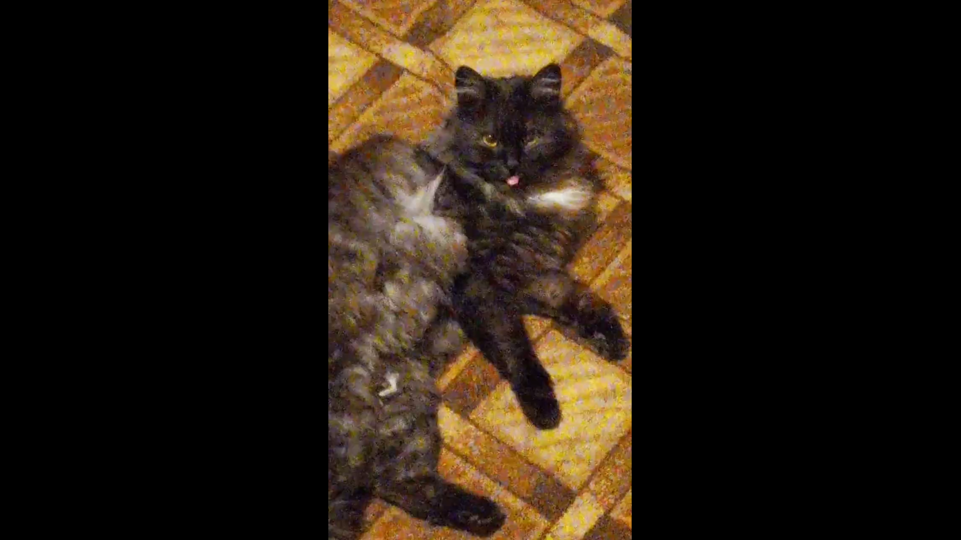 Неверно выбранный истец по делу перечеркнул предыдущее удовлетворенное решение. Хотите про котиков?