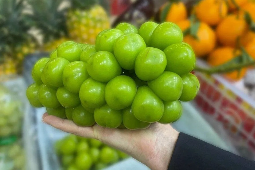 Гигантский виноград: сладкое искушение или скрытая угроза?