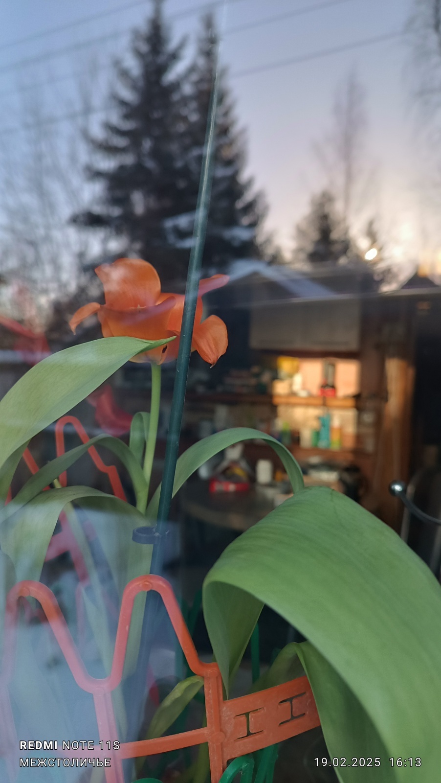 От Грегори Макдональда («Отчаянный») к Стивену Кингу и дальше. / Договора и массовка./ Часть четвёртая и последняя / «Имплементация»