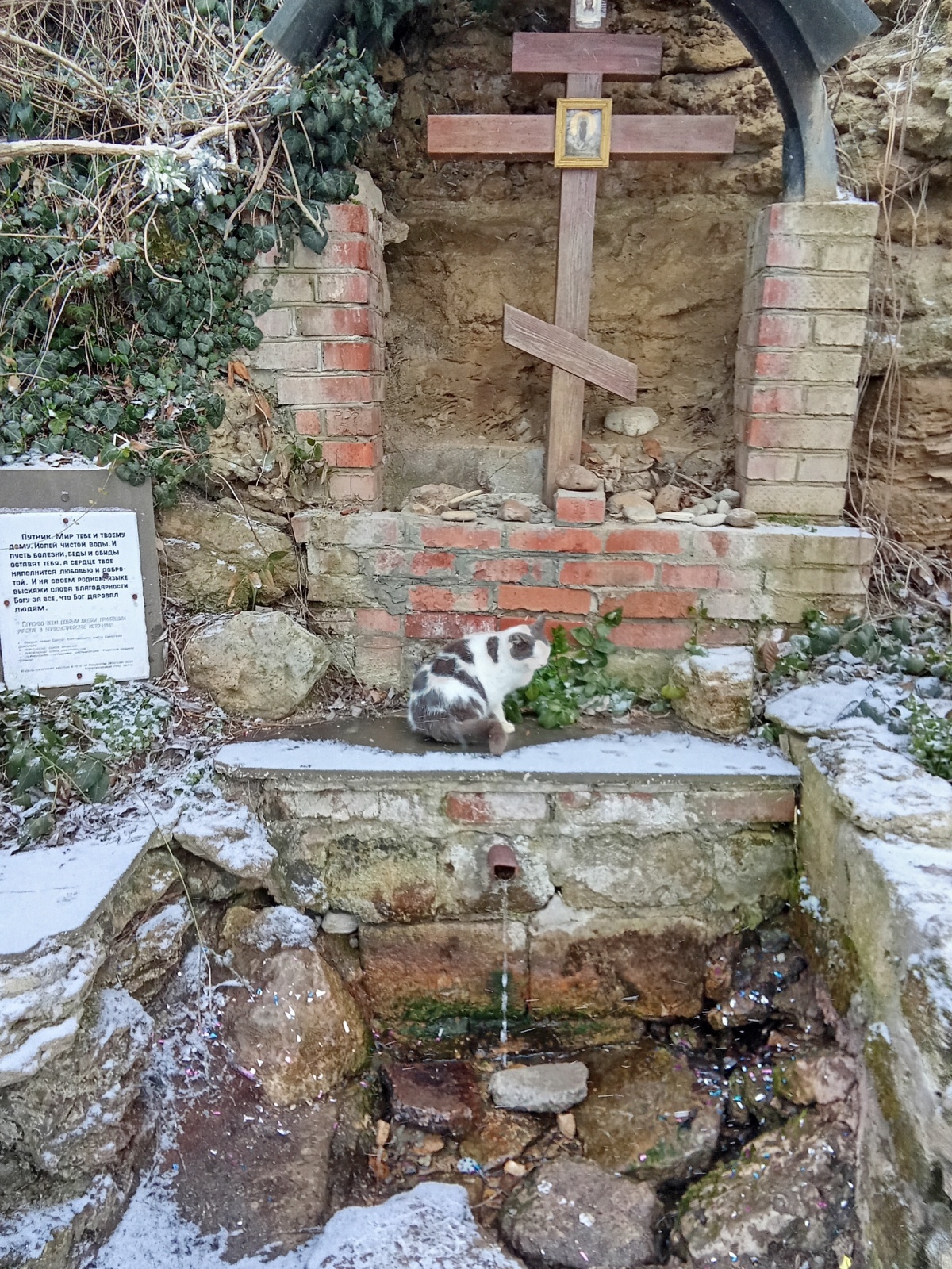 Кто может сейчас что-то предпринять, у кого есть план решения проблем России на Украине и во всем мире.