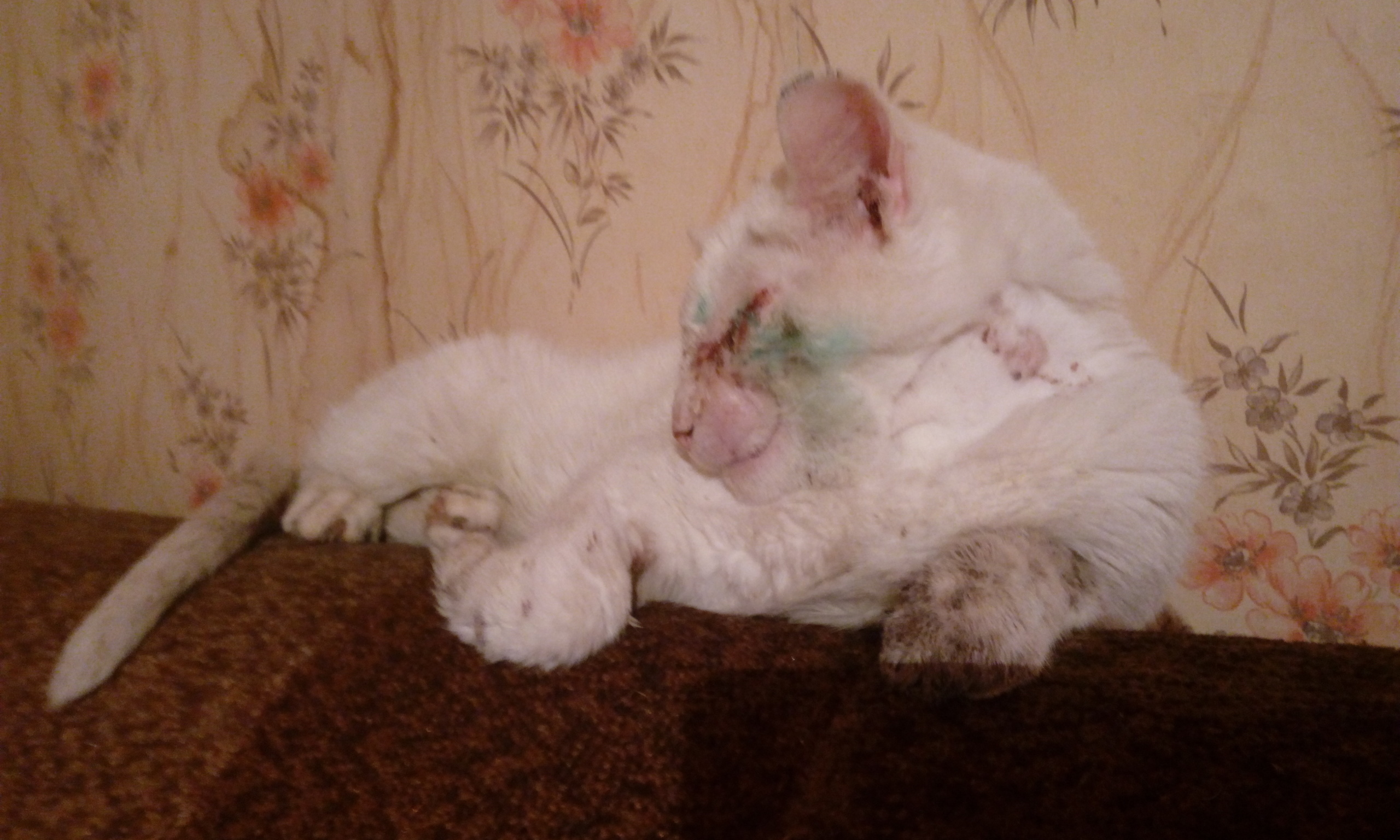 Тихон Матвеич жив и уже вернулся домой, но есть нюансы...