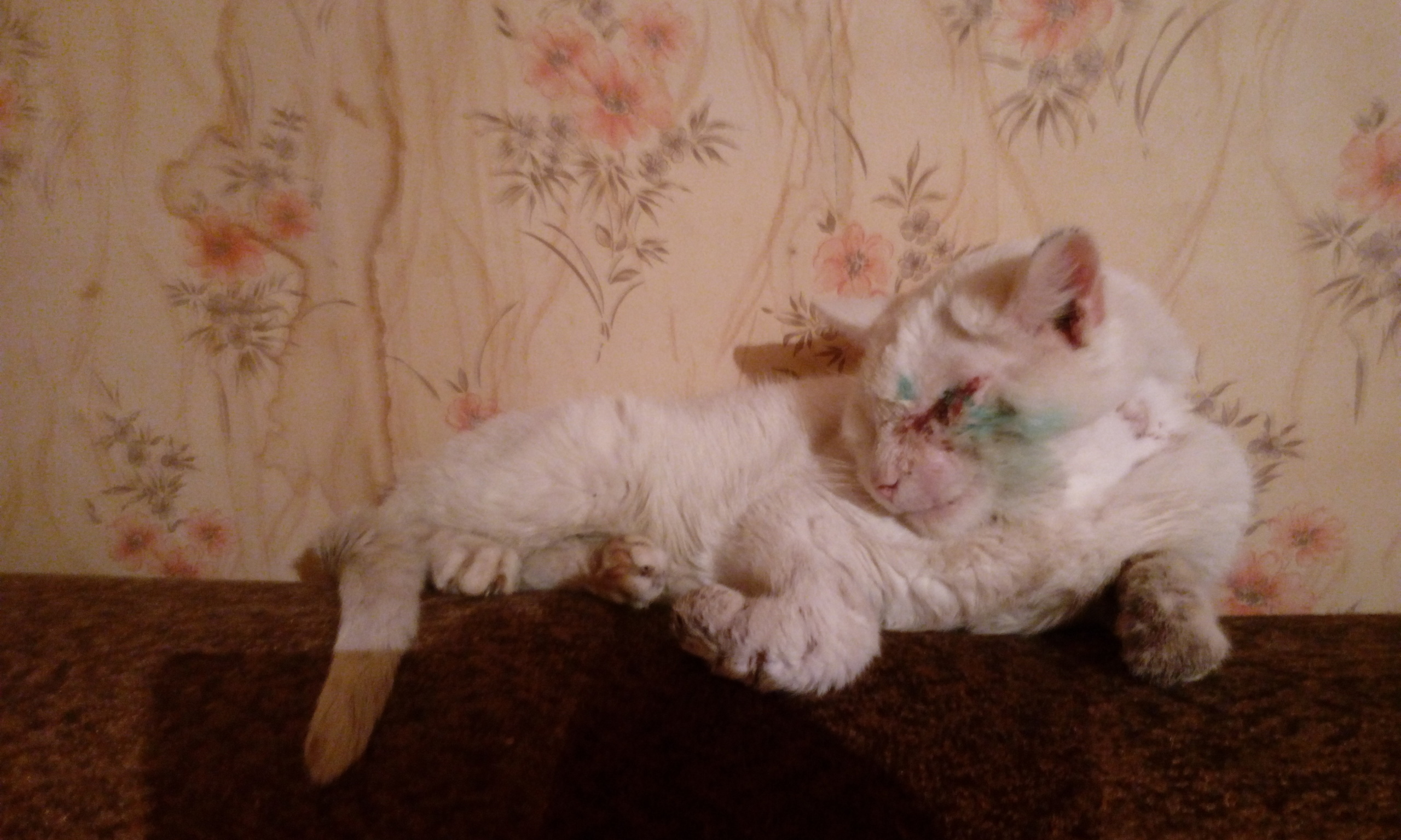 Тихон Матвеич жив и уже вернулся домой, но есть нюансы...