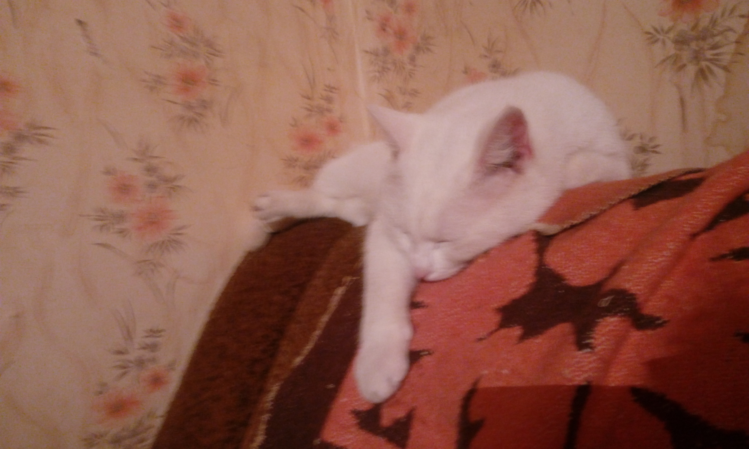 Тихон Матвеич жив и уже вернулся домой, но есть нюансы...