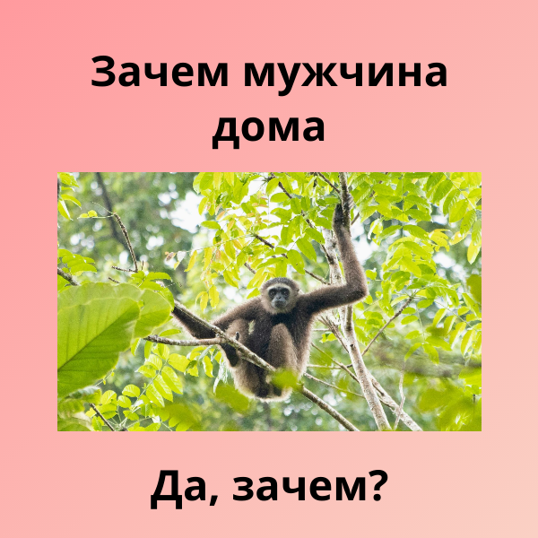 Зачем мужчина дома - 5 причин отказаться