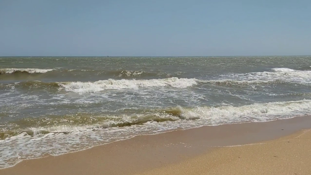 Чудовища Каспия