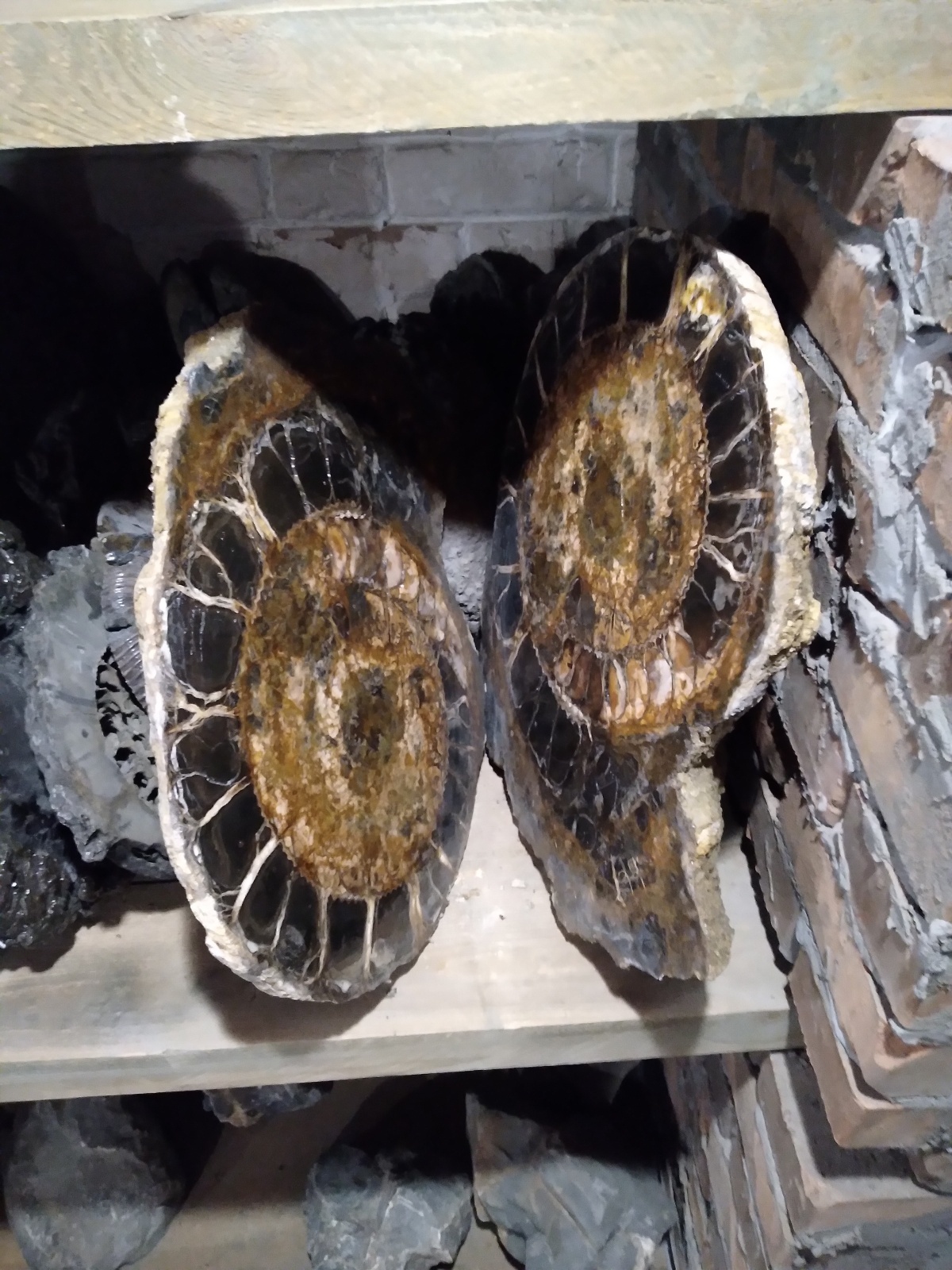 Музей Симбирцит в Ульяновске. Уникальный музей уникального минерала.