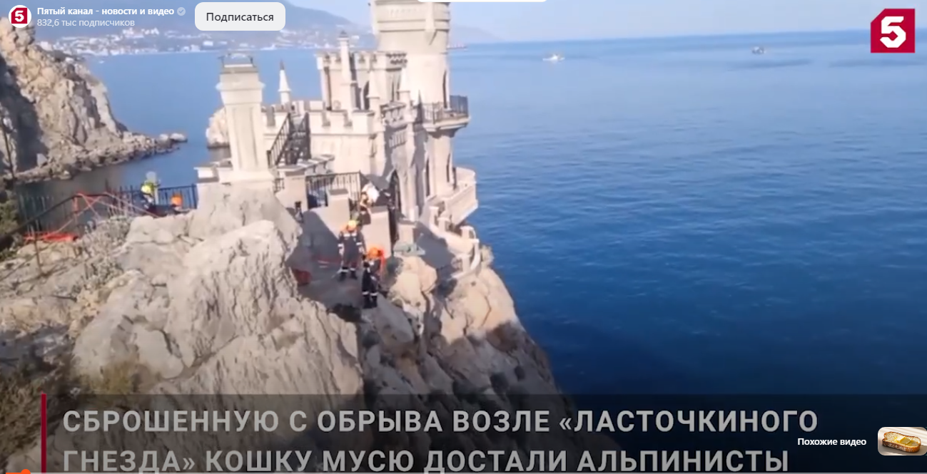 Жива, серьёзно не пострадала. Найдена кошка Муся, сброшенная живодёром со смотровой площадки в Крыму