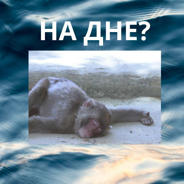 Сколько месяцев в дне - вопрос из интернета