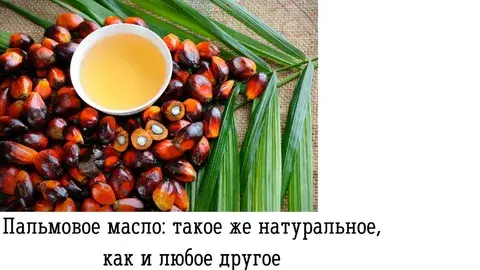 Все о пальмовом масле