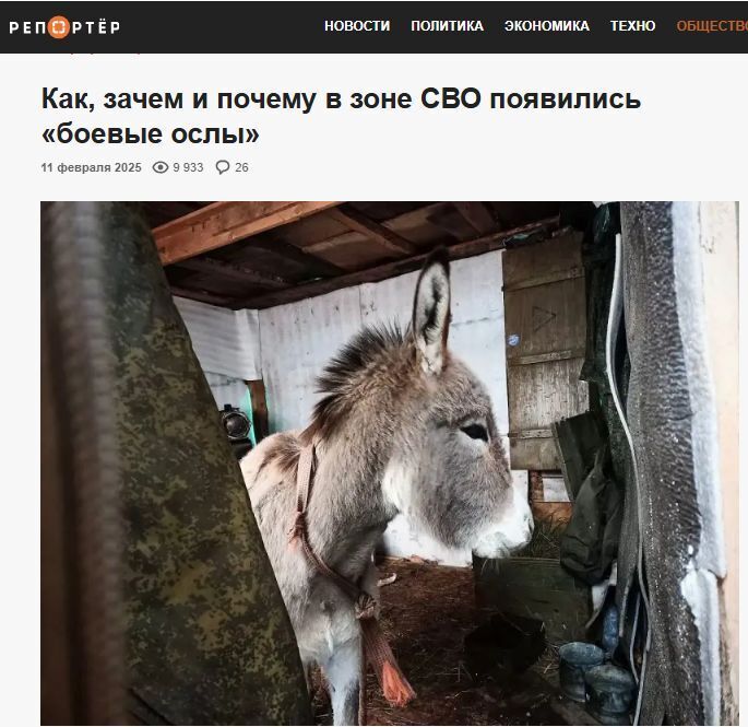 🍒Сочувствуем мы кошке Мусе, она сейчас милей всего, а вот ослов кто пожалеет? Тех, кто сейчас на СВО