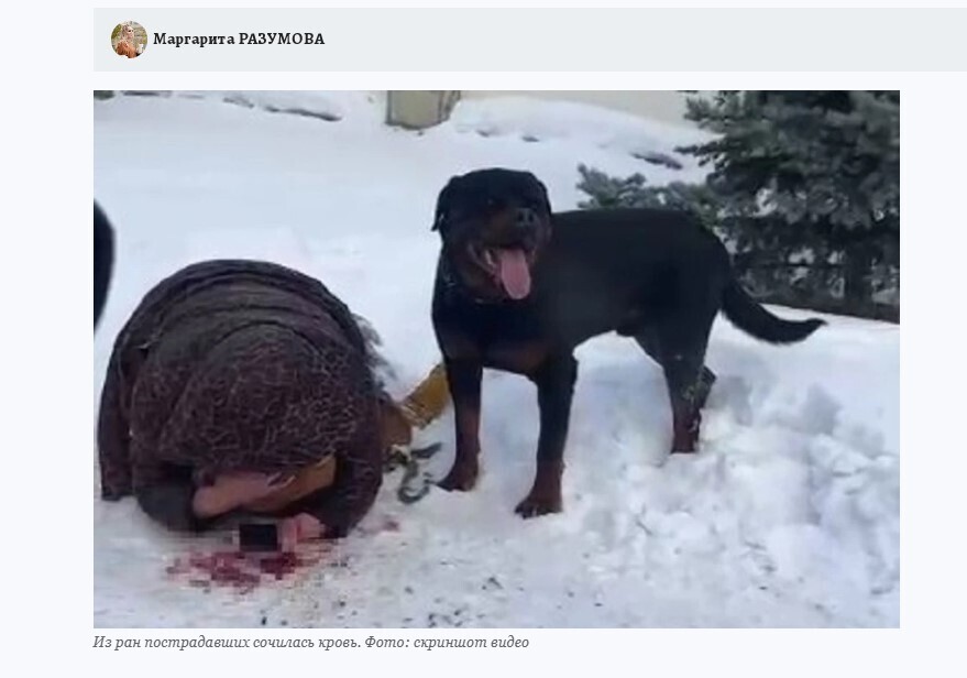 Мама закрыла ребёнка собой, пока ротвейлер грыз её руку! Как такое предотвратить?