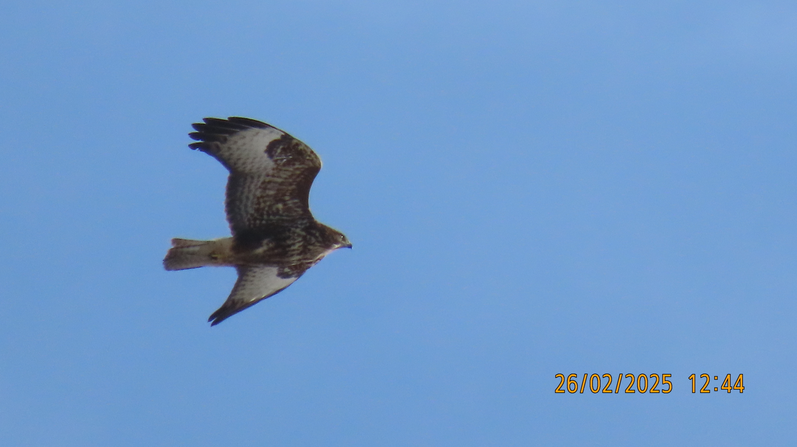 Прощай, февраль! /Межстоличье.