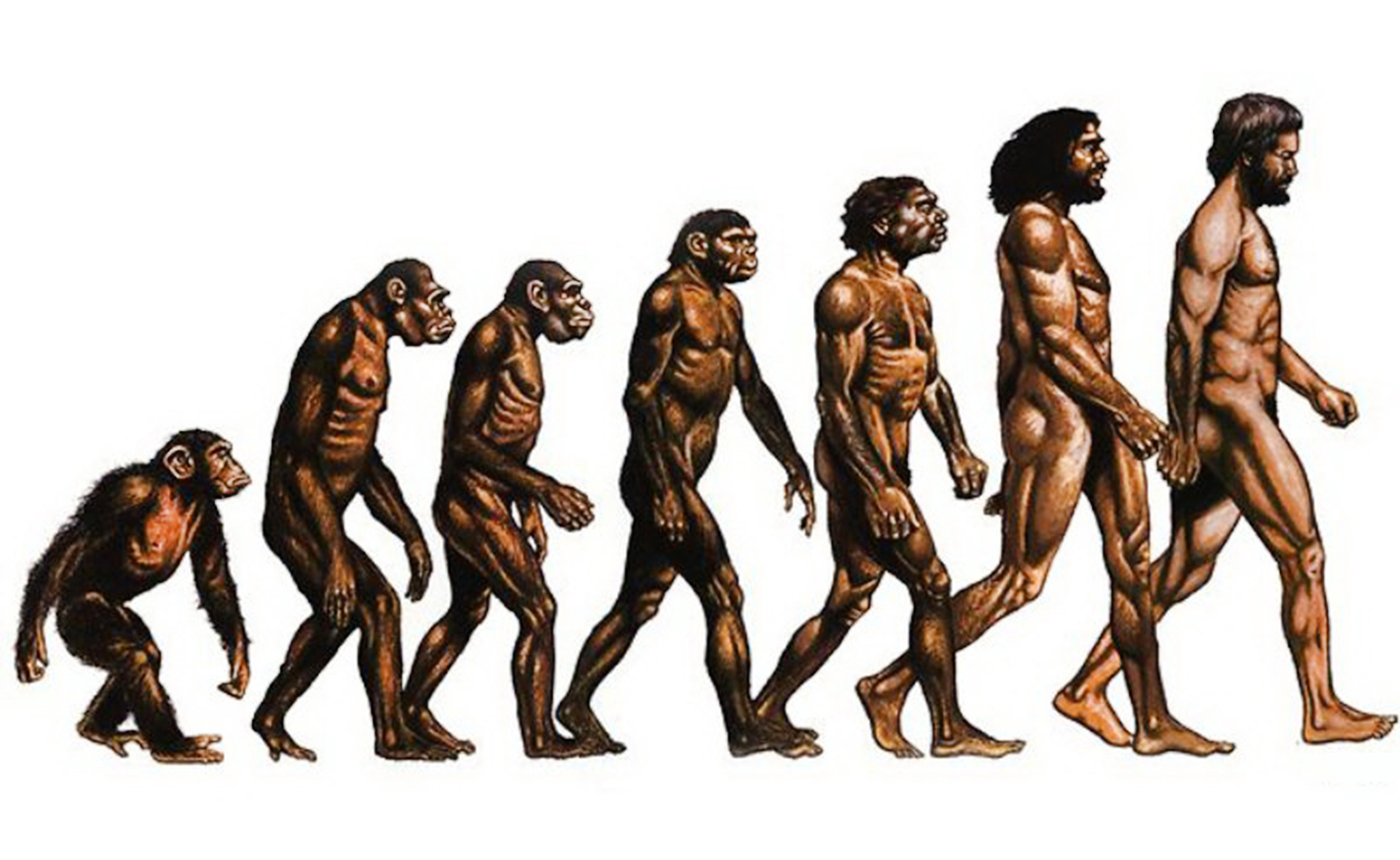 Таинственные связи мужчины и женщины. "А зачем ты меня обнюхиваешь?"