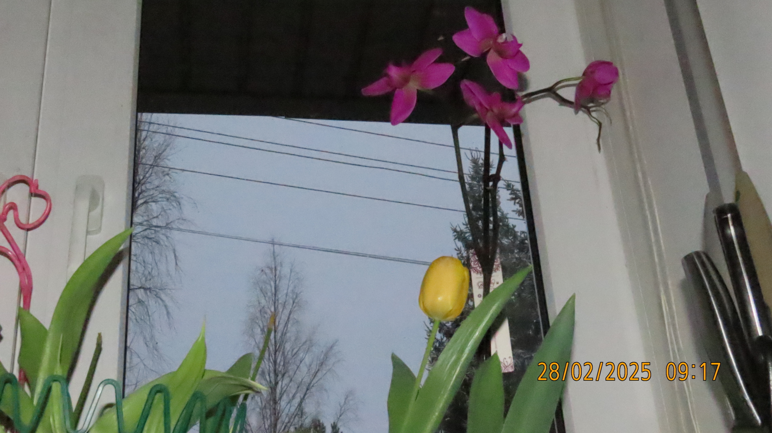 Прощай, февраль! /Межстоличье.