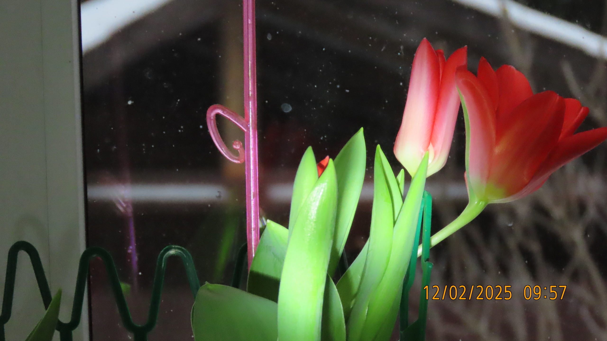 Прощай, февраль! /Межстоличье.