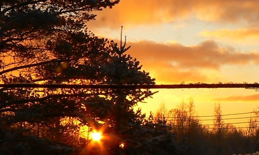 Весенние образы Межстоличья.