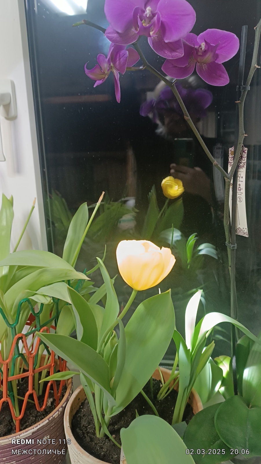 Весенние образы Межстоличья.