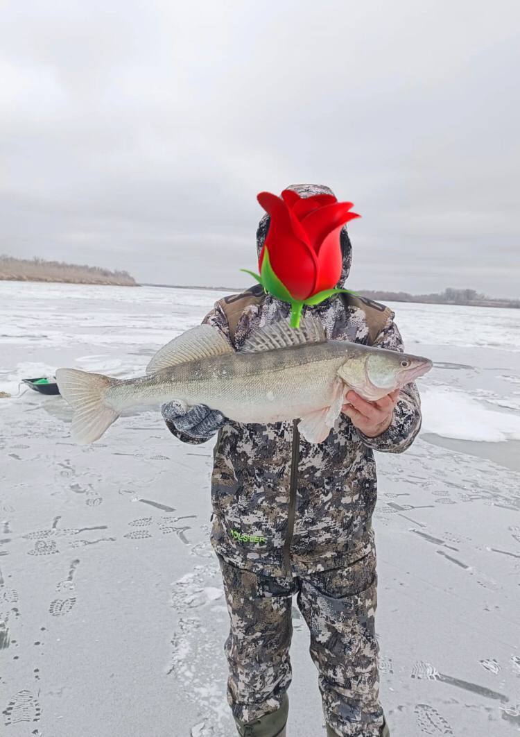 Вылов рыбы в 2025г. в Астраханской области!