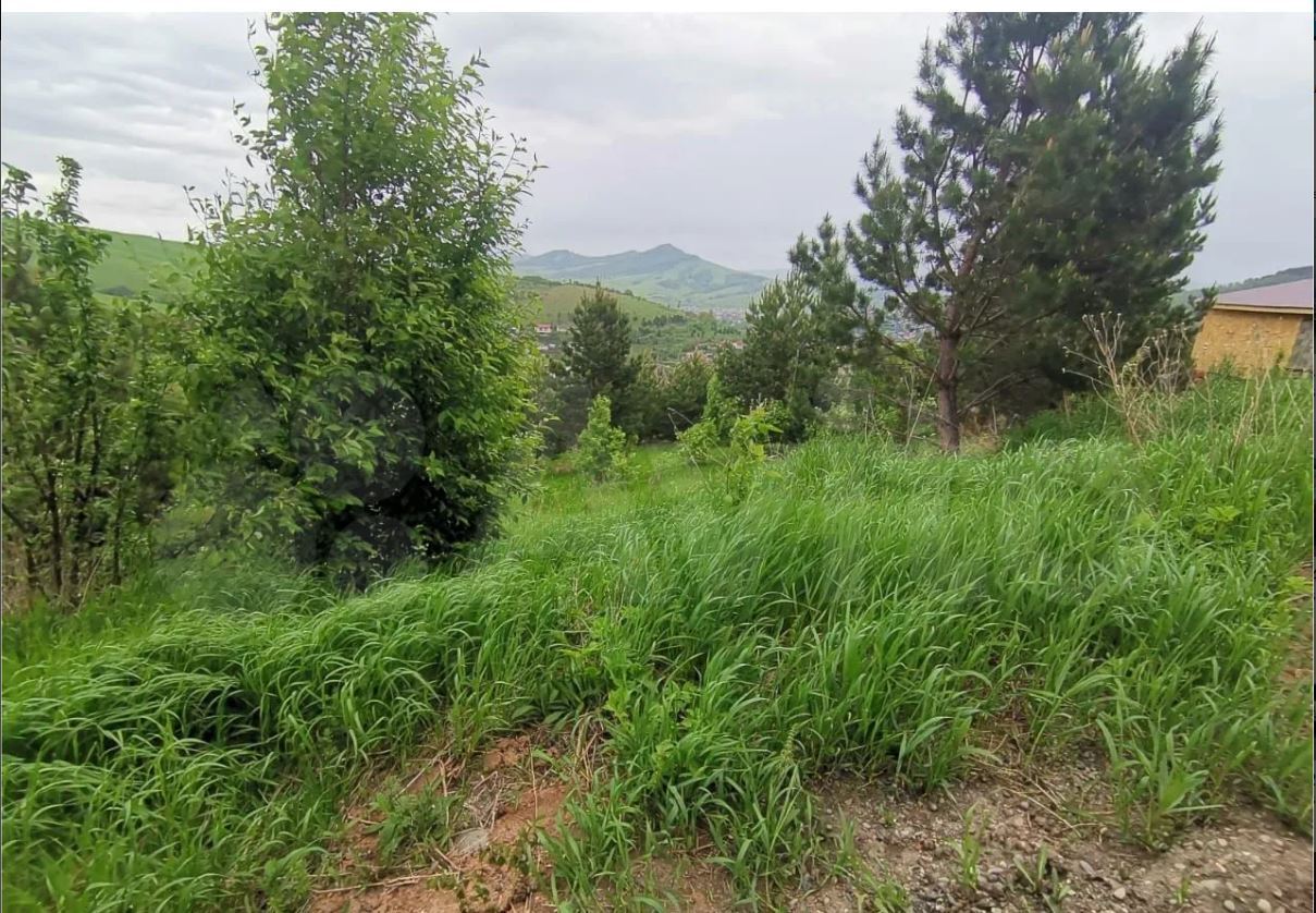 Продам земельный участок на Алтае рядом с курортной зоной Манжерок