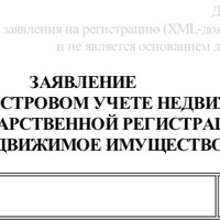 IMG_4914.jpeg