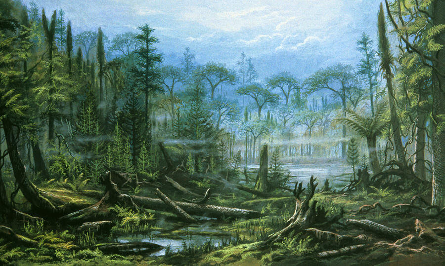 Секреты Древних Лесов: Что Они Скрывают от Человечества